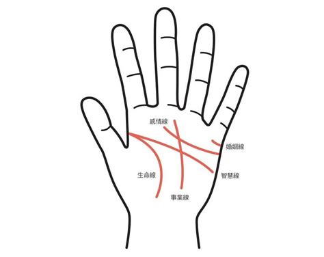 一字掌紋|【手相館】掌紋 (生命線、感情線、智慧線、婚姻線、太陽線、火。